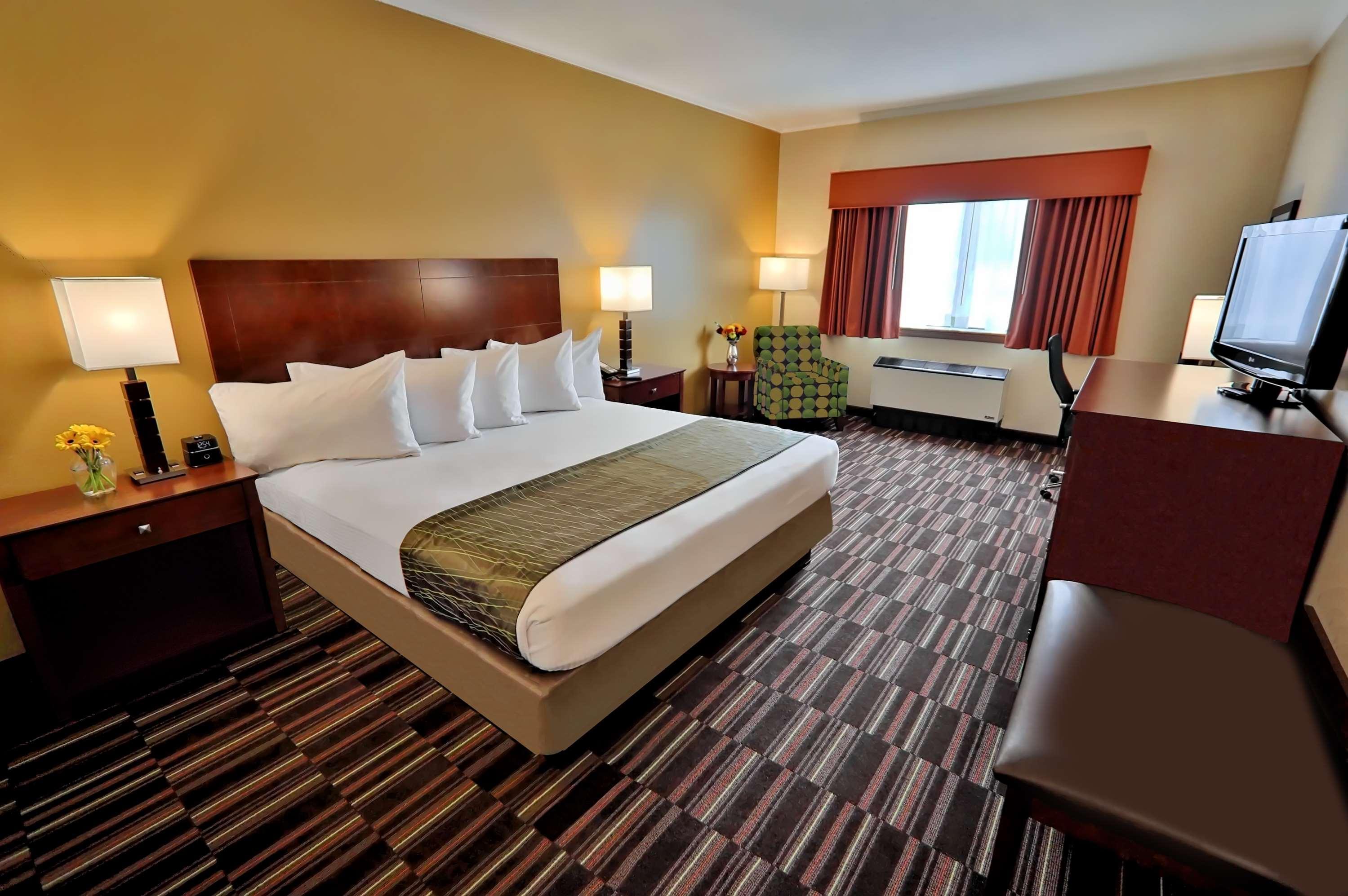 Best Western Falcon Plaza - Bowling Green Esterno foto